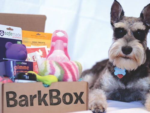 example of bark box subscription box