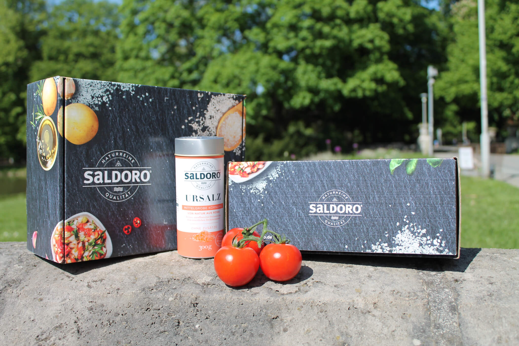 Saldoro full color mailer box