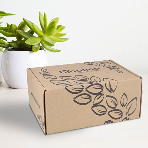 nachhaltiges Verpackungsdesign Eco Karton