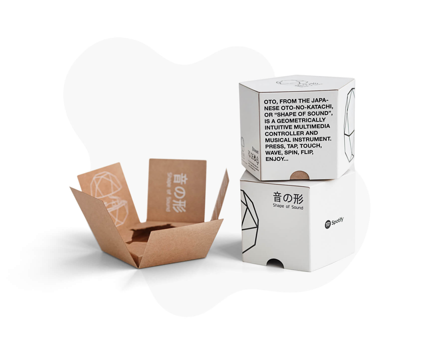Caja especial de cartón