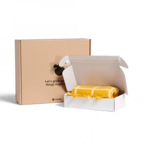 delivery box from cardboard