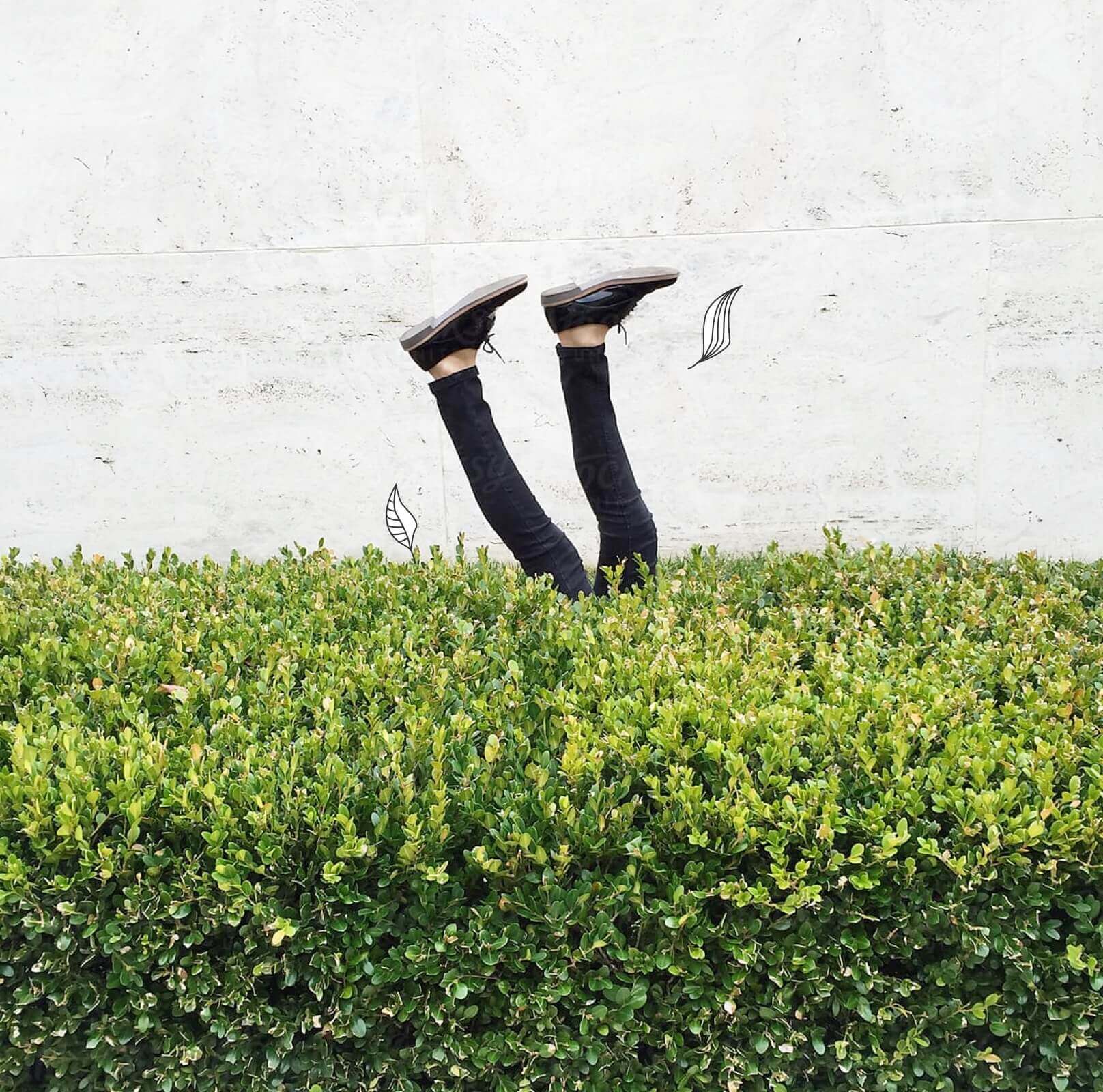 Siepe e gambe upside-down