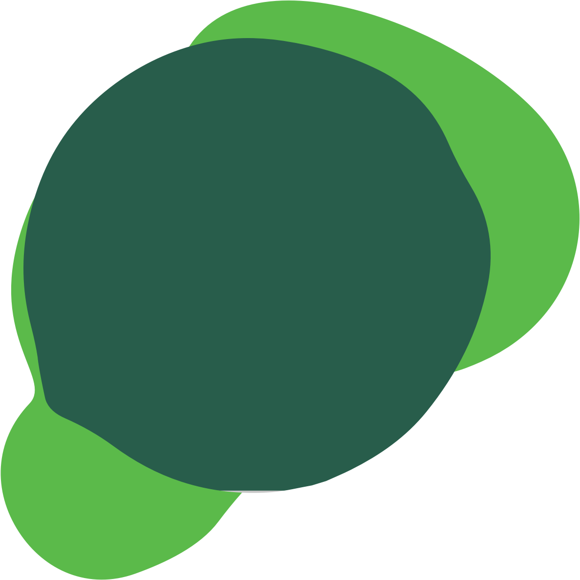 data-srcset