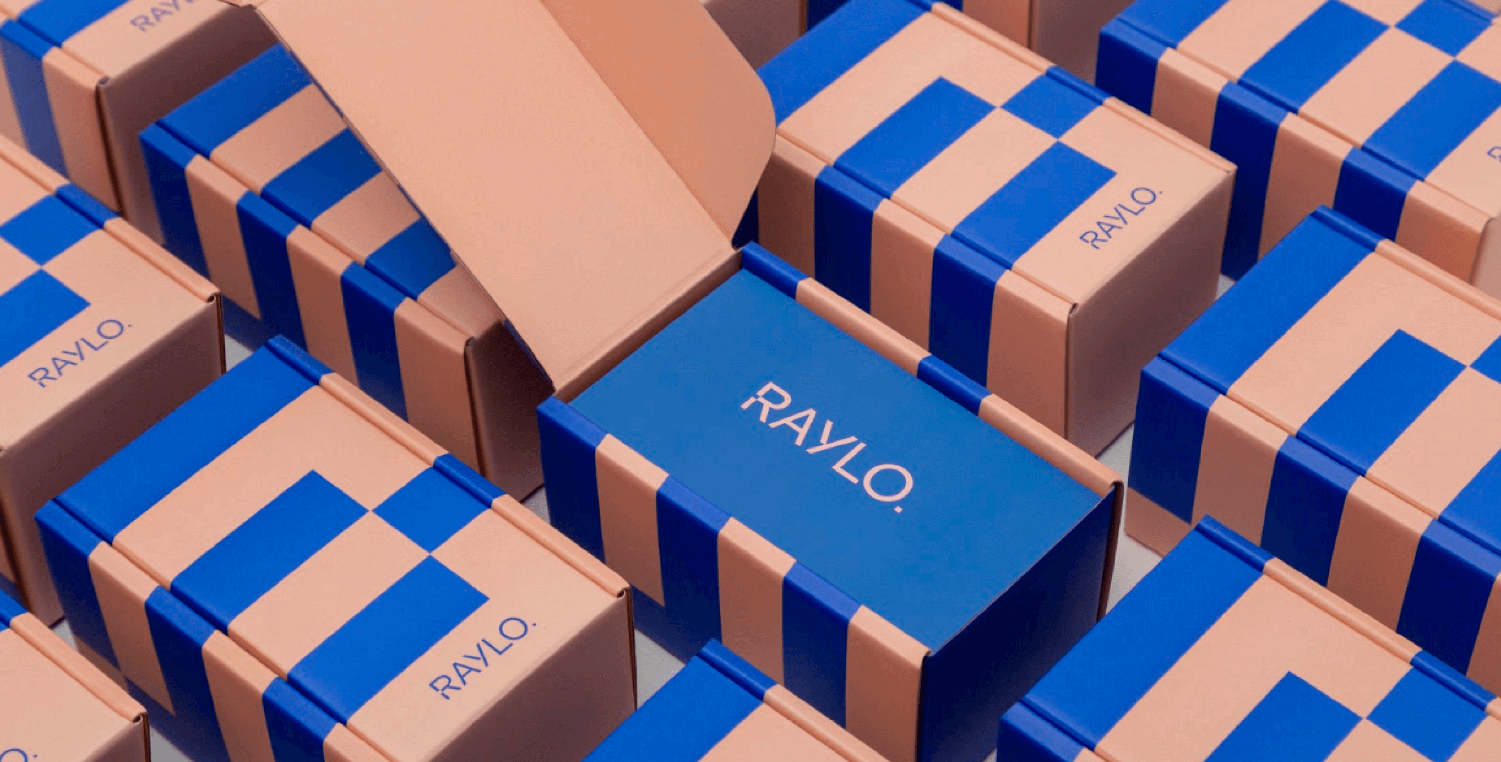 Raylo Case Study