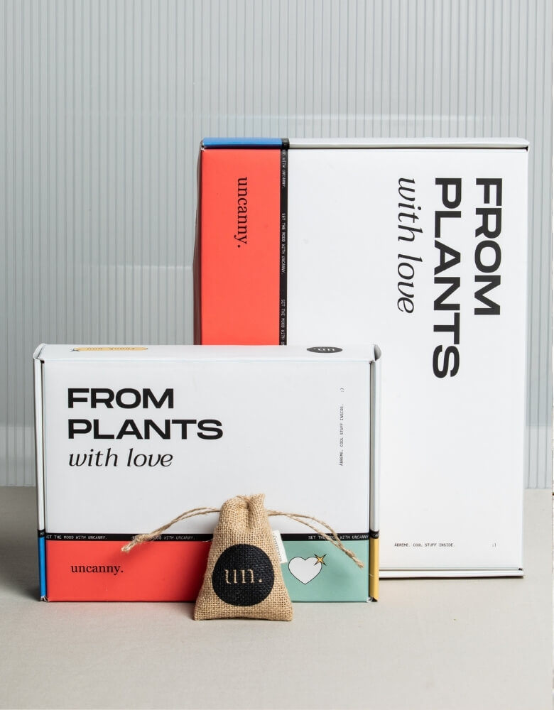 Cajas para envíos de la empresa Uncanny