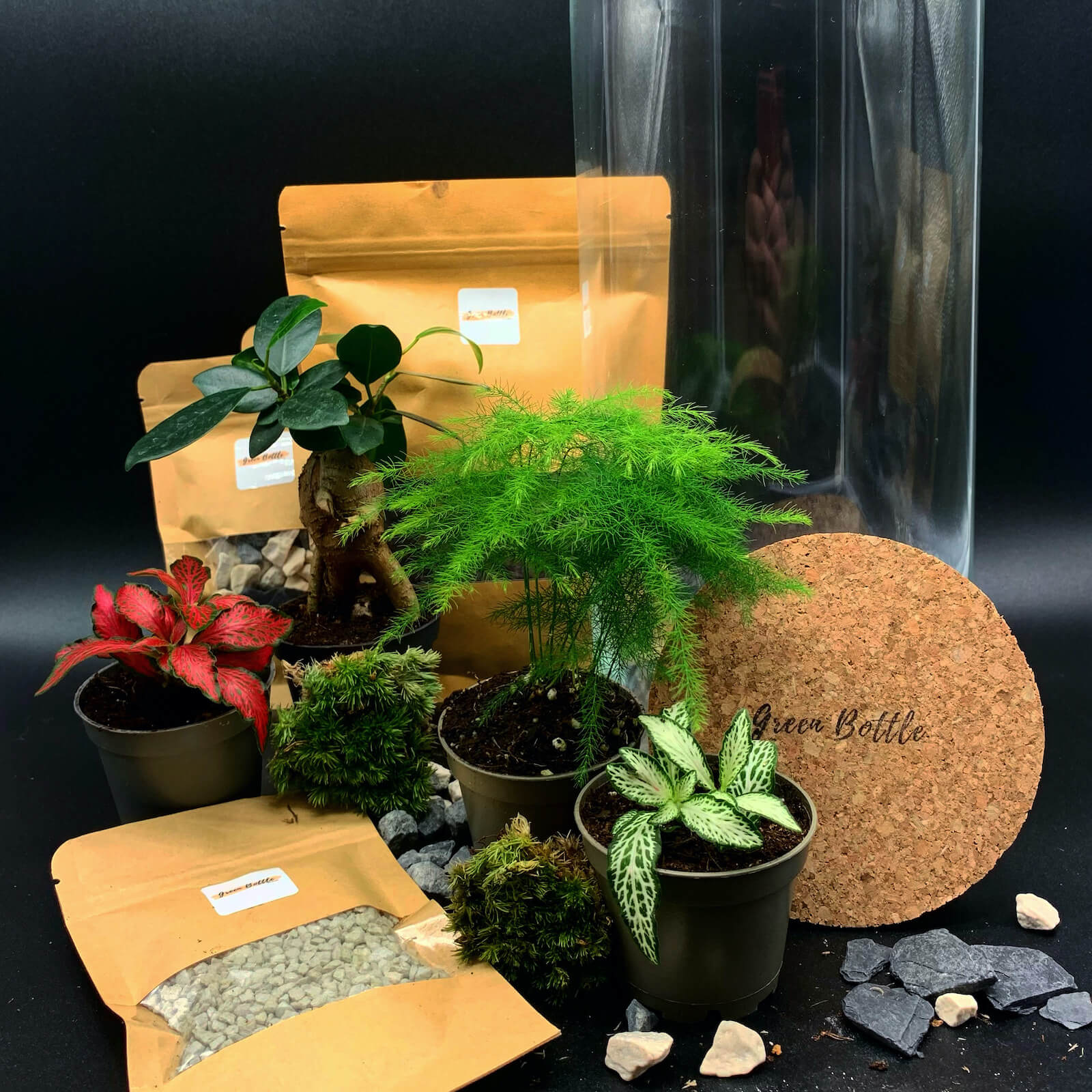 Ensemble du kit de terrarium de Green Bottle Design