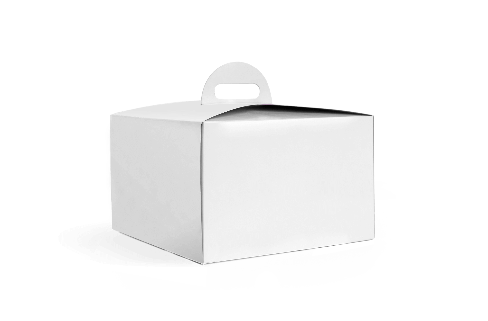 Cake box with handle