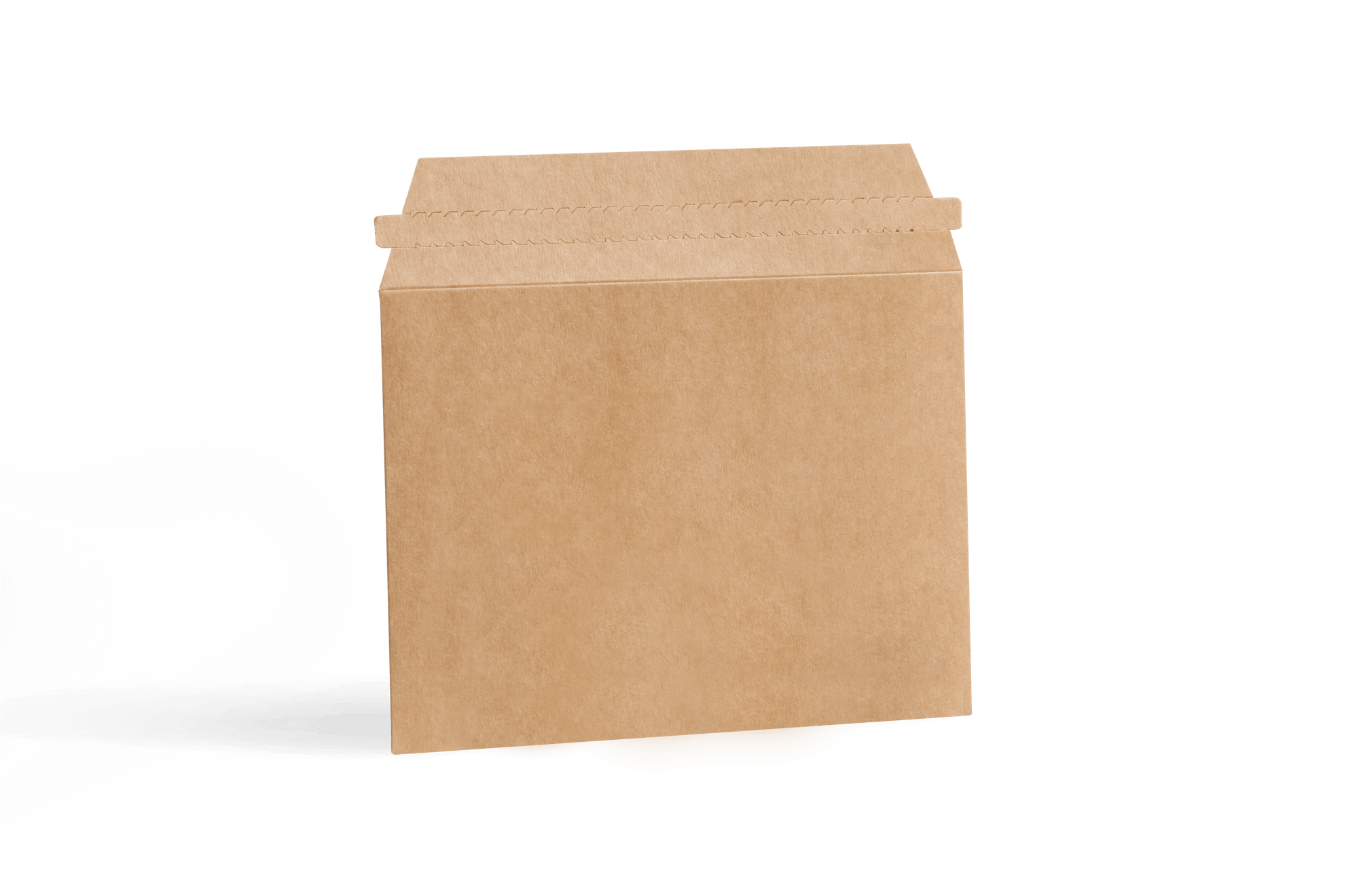 cardboard envelope